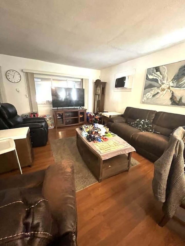 living room with wood finished floors and a wall mounted AC