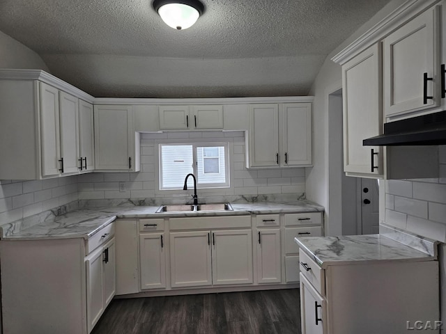 kitchen with dark wood-type flooring, white cabinets, a sink, and decorative backsplash