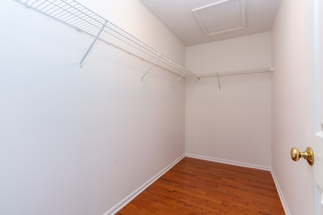 walk in closet featuring attic access and wood finished floors