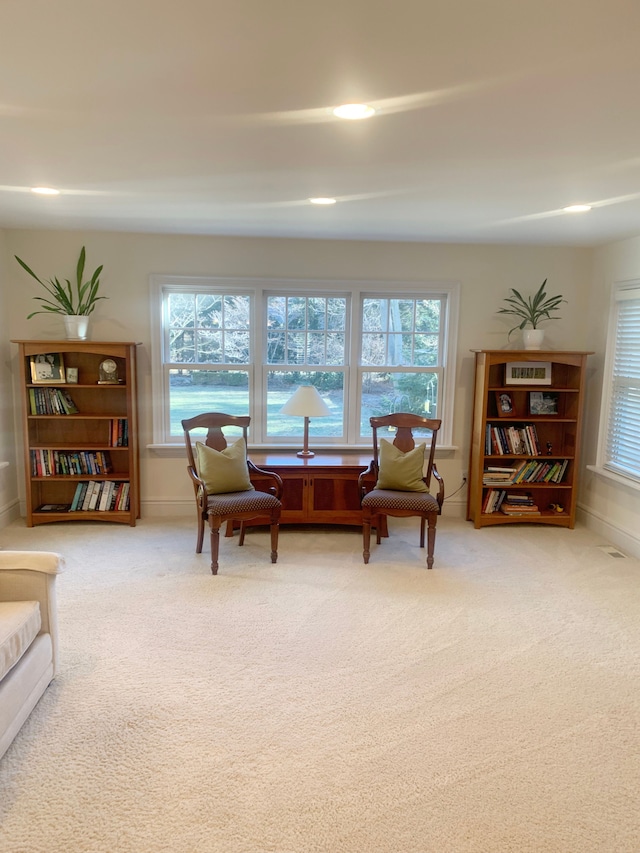 living area with carpet floors, a wealth of natural light, and baseboards