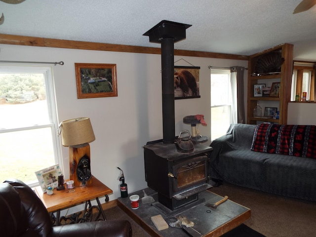 carpeted living area featuring a wood stove, crown molding, and a textured ceiling