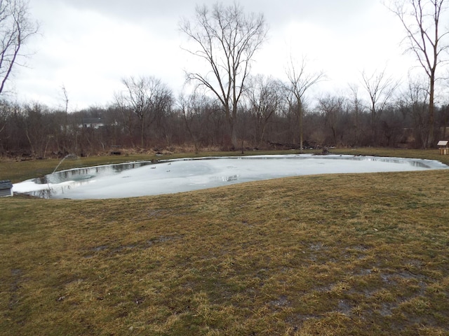 view of yard featuring a water view and a view of trees