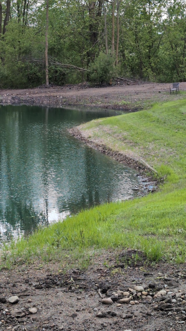 property view of water