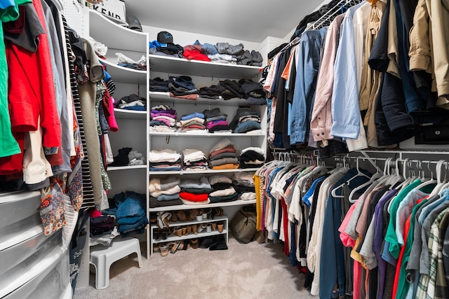 spacious closet featuring carpet floors