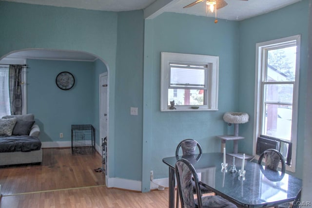 dining room featuring a healthy amount of sunlight, light wood-style flooring, arched walkways, and baseboards