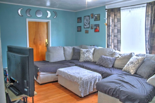 living room with ornamental molding and wood finished floors