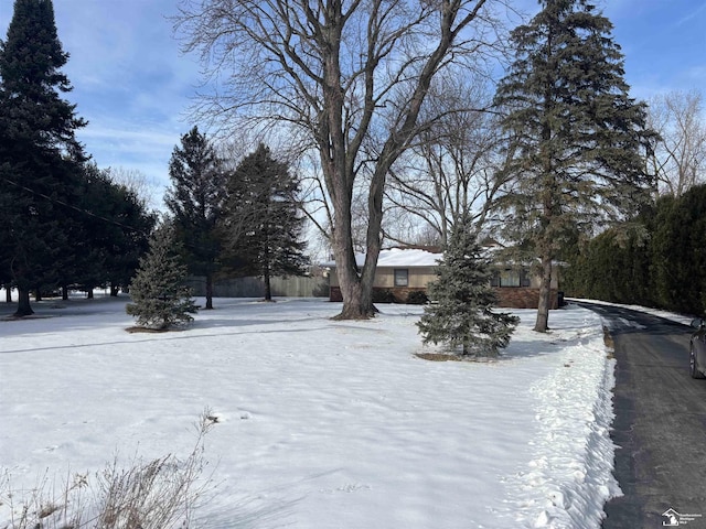 view of yard layered in snow