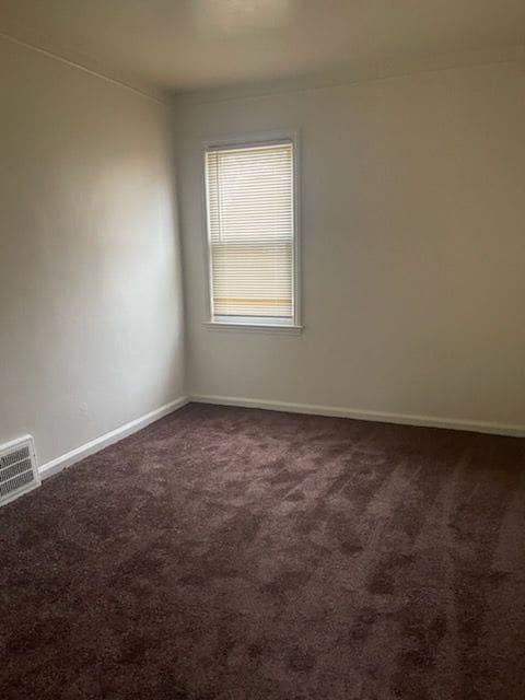 spare room with carpet, visible vents, and baseboards