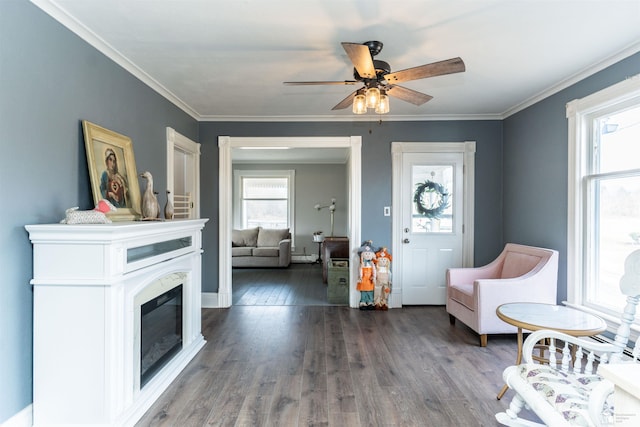 interior space featuring wood finished floors, a glass covered fireplace, and crown molding