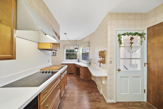 kitchen featuring brown cabinets, black electric cooktop, light countertops, and exhaust hood