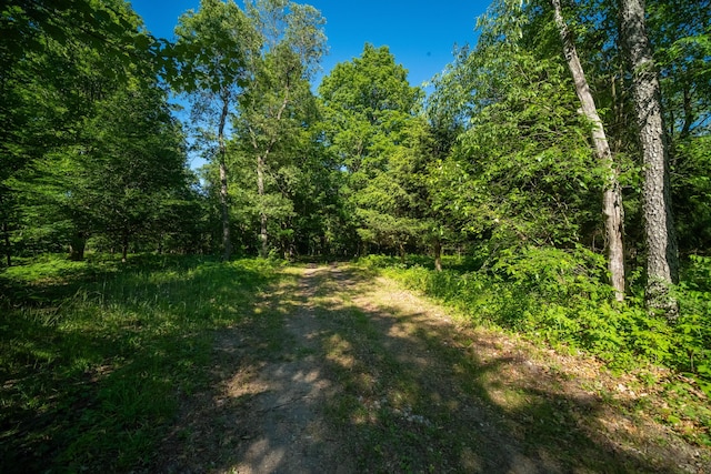 view of local wilderness with a wooded view