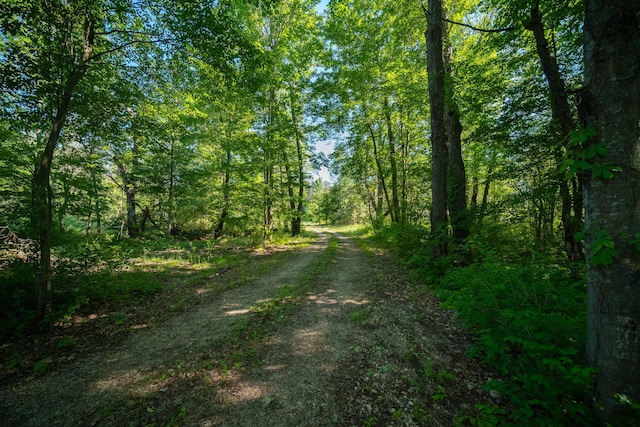 view of road with a forest view