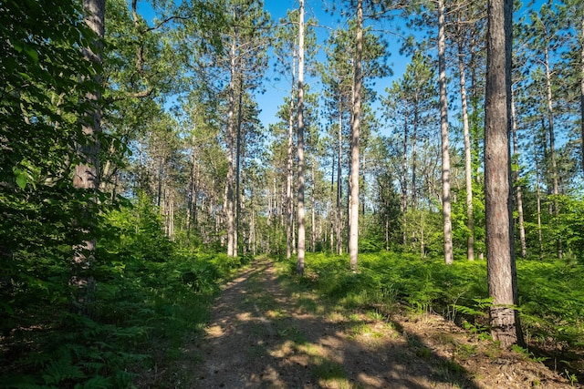 view of landscape with a forest view