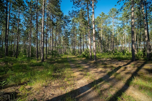 view of landscape with a wooded view