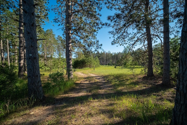 view of nature with a forest view