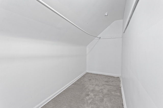 walk in closet featuring carpet floors and lofted ceiling