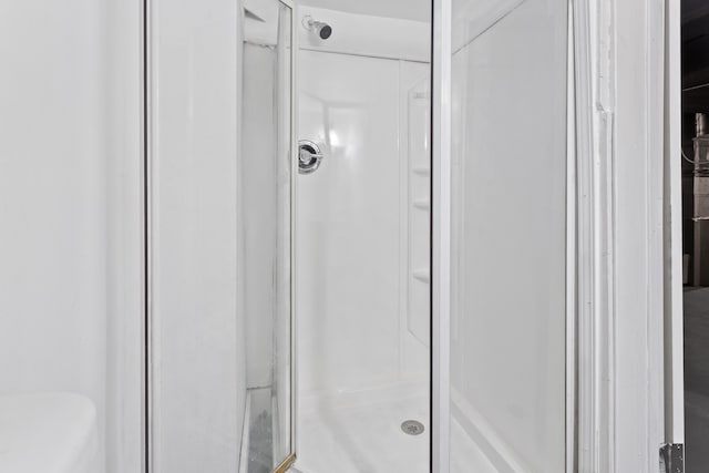 bathroom featuring a shower stall