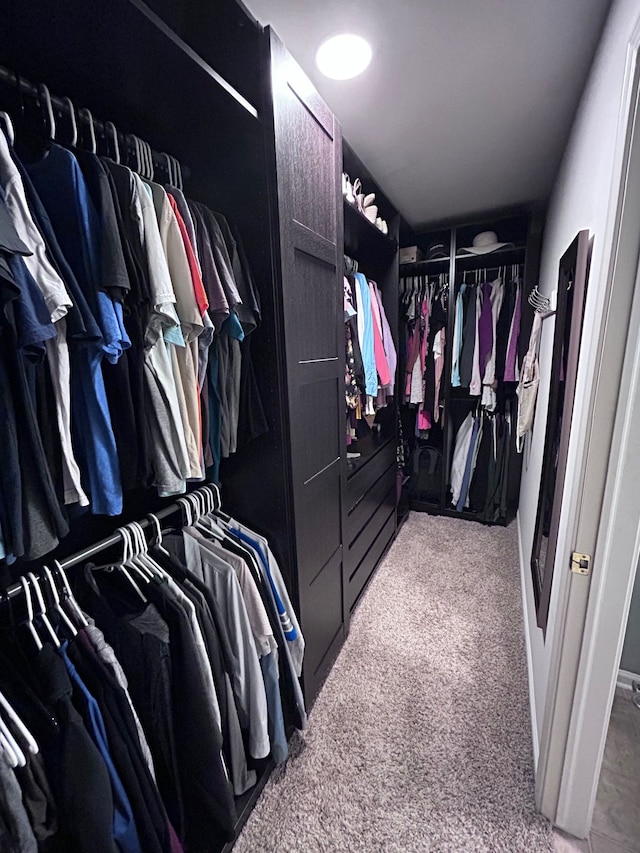 walk in closet featuring light carpet