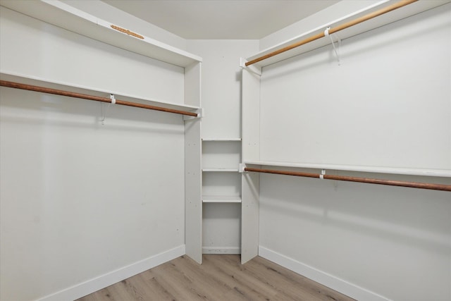 spacious closet with light wood finished floors