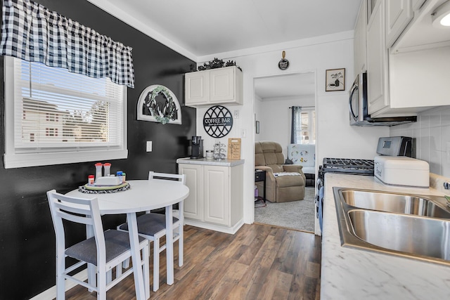 kitchen featuring a sink, light countertops, a wealth of natural light, stainless steel microwave, and dark wood finished floors