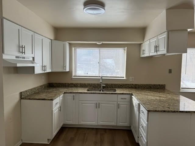 kitchen featuring dark wood-style floors, a sink, dark stone counters, dishwasher, and under cabinet range hood