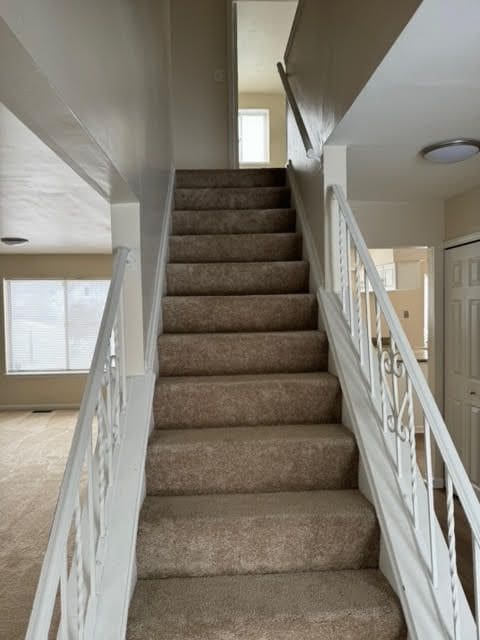 staircase with carpet