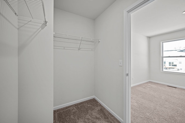 spacious closet with carpet flooring and visible vents