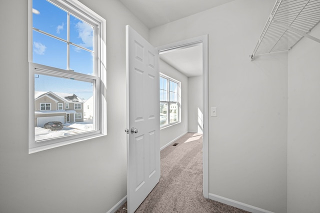 spacious closet featuring visible vents and carpet flooring