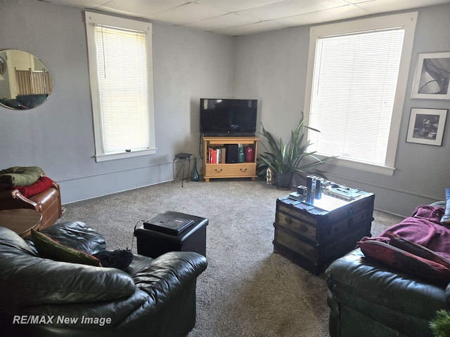 living room featuring carpet floors and a drop ceiling