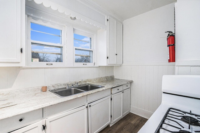 kitchen with light countertops, white cabinets, a sink, and wainscoting