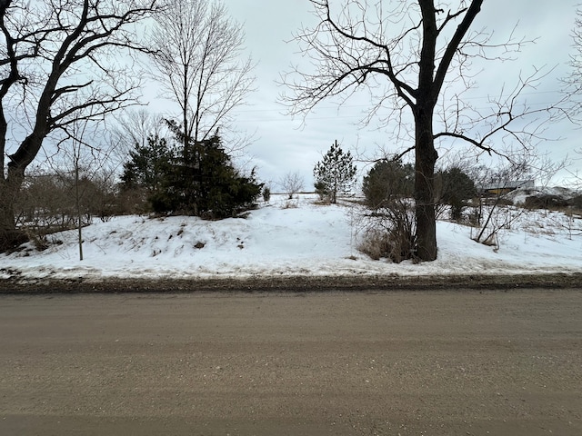 4027 W Caro Rd, Caro, MI 48723 - photo 36