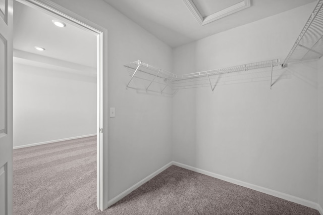 spacious closet featuring carpet flooring and attic access