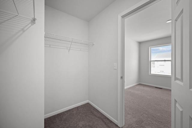 walk in closet featuring visible vents and carpet floors