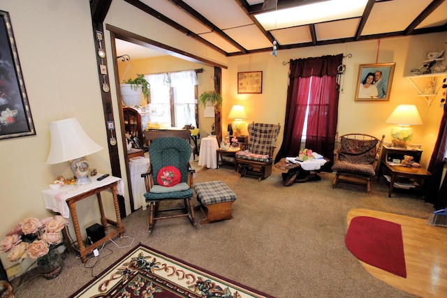 living room featuring carpet