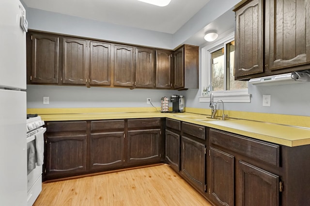 kitchen with dark brown cabinetry, a sink, light countertops, light wood-type flooring, and gas range gas stove