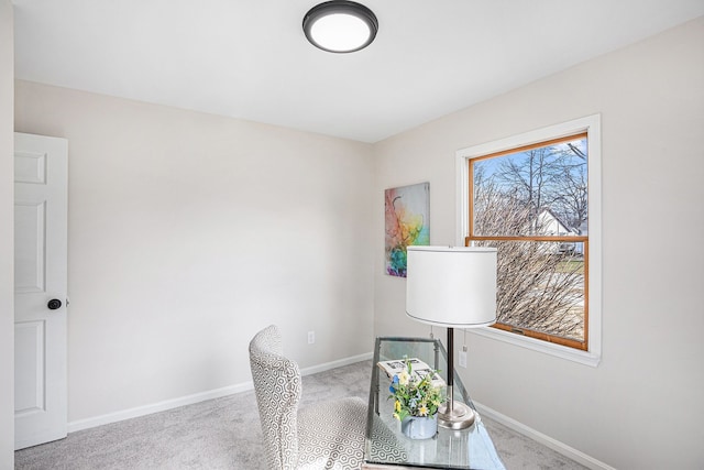 office area featuring baseboards and carpet floors