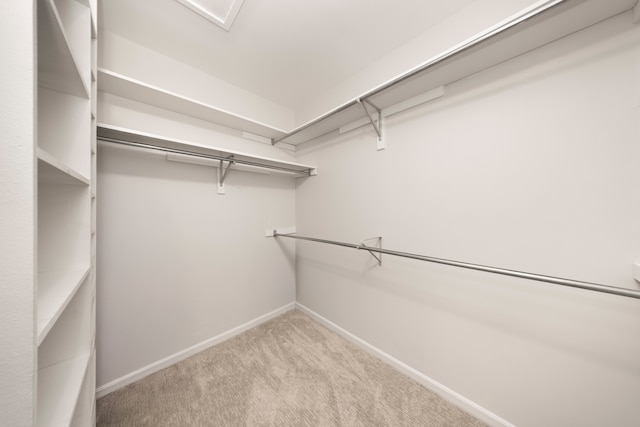 walk in closet featuring carpet flooring