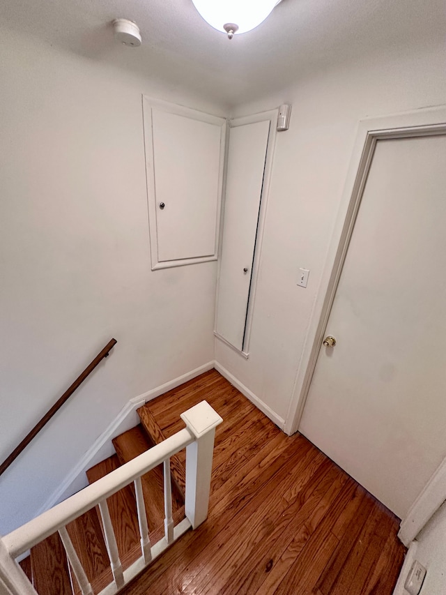 staircase featuring wood finished floors