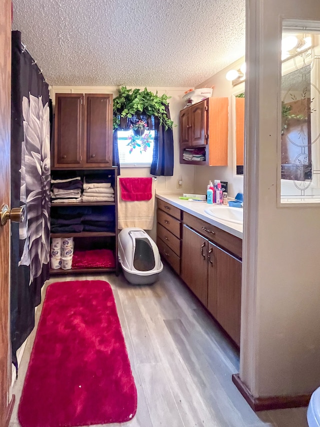 bathroom with vanity, a textured ceiling, and wood finished floors