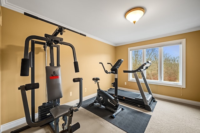 exercise area featuring baseboards, carpet floors, and crown molding