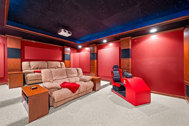 carpeted home theater with a tray ceiling