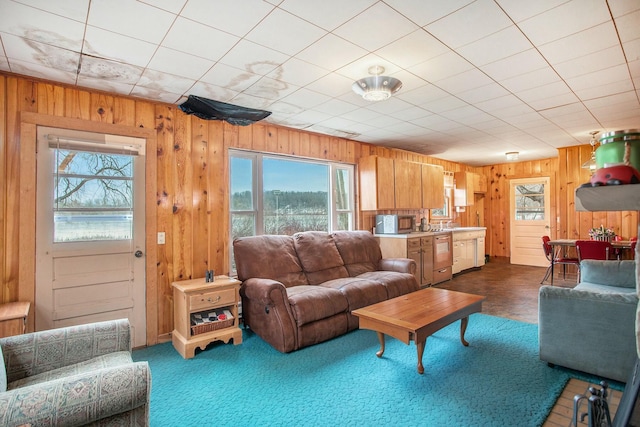 living area featuring wood walls