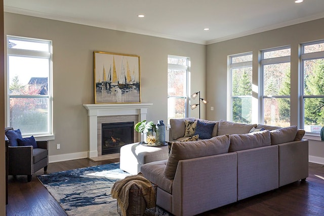 living area with a glass covered fireplace, dark wood-style flooring, crown molding, and baseboards