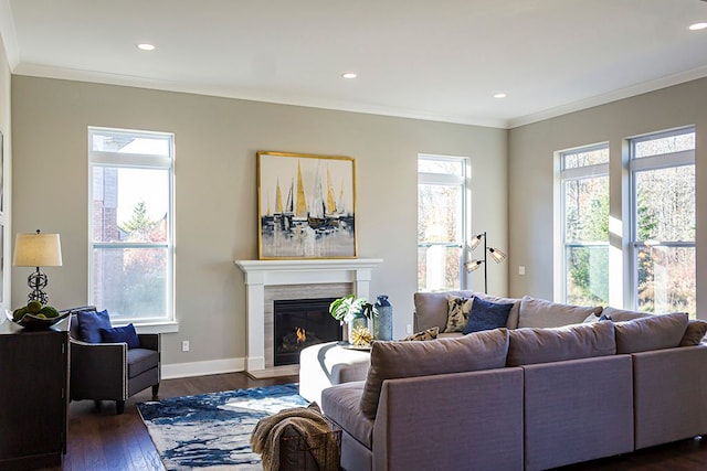 living area with plenty of natural light, a fireplace with flush hearth, ornamental molding, and dark wood finished floors