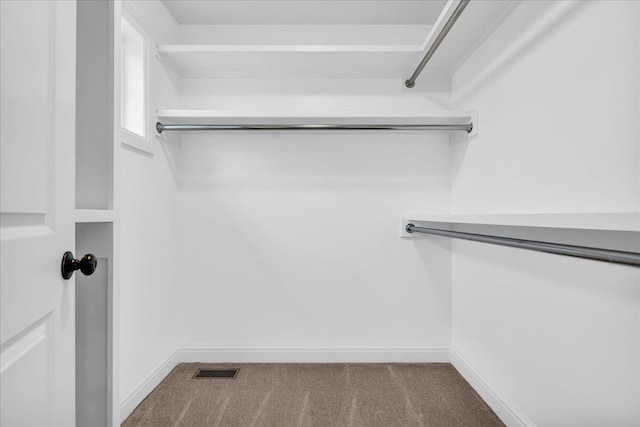 spacious closet featuring carpet and visible vents