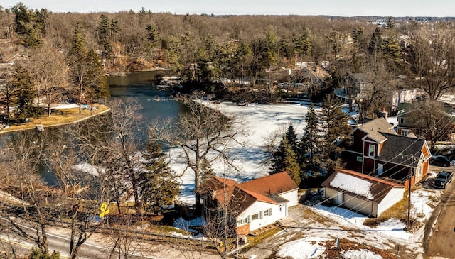 birds eye view of property with a water view and a wooded view