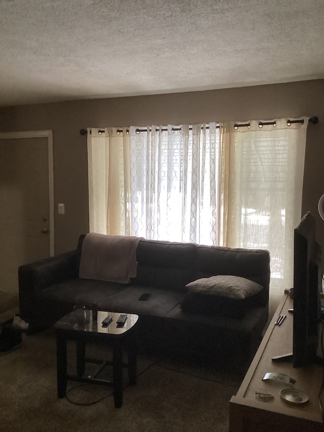 carpeted living room with a textured ceiling and plenty of natural light