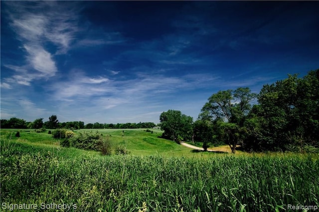 view of local wilderness with a rural view