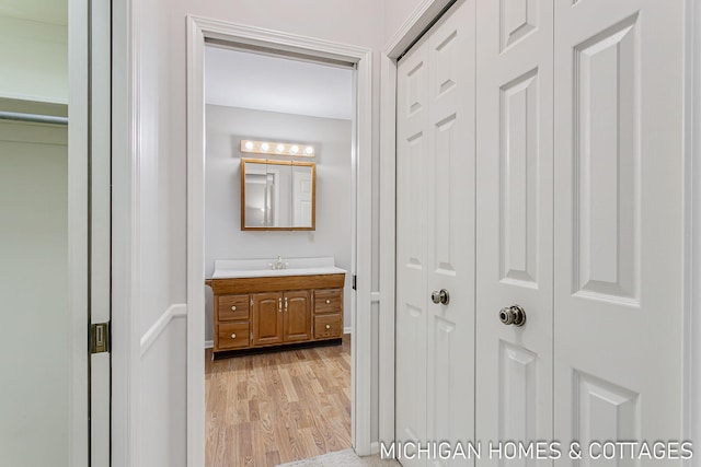 bathroom featuring wood finished floors, a closet, and vanity