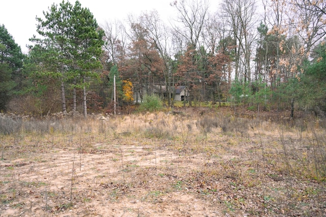 view of local wilderness